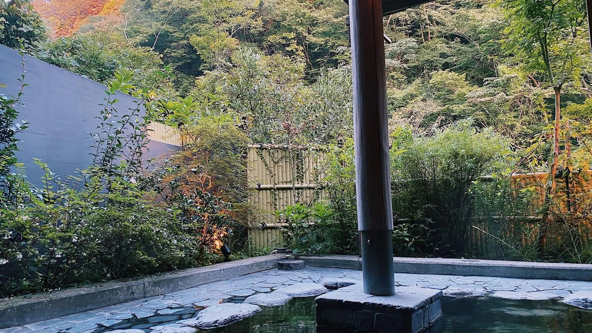 Onsen Guest House Tsutaya 하코네 일본