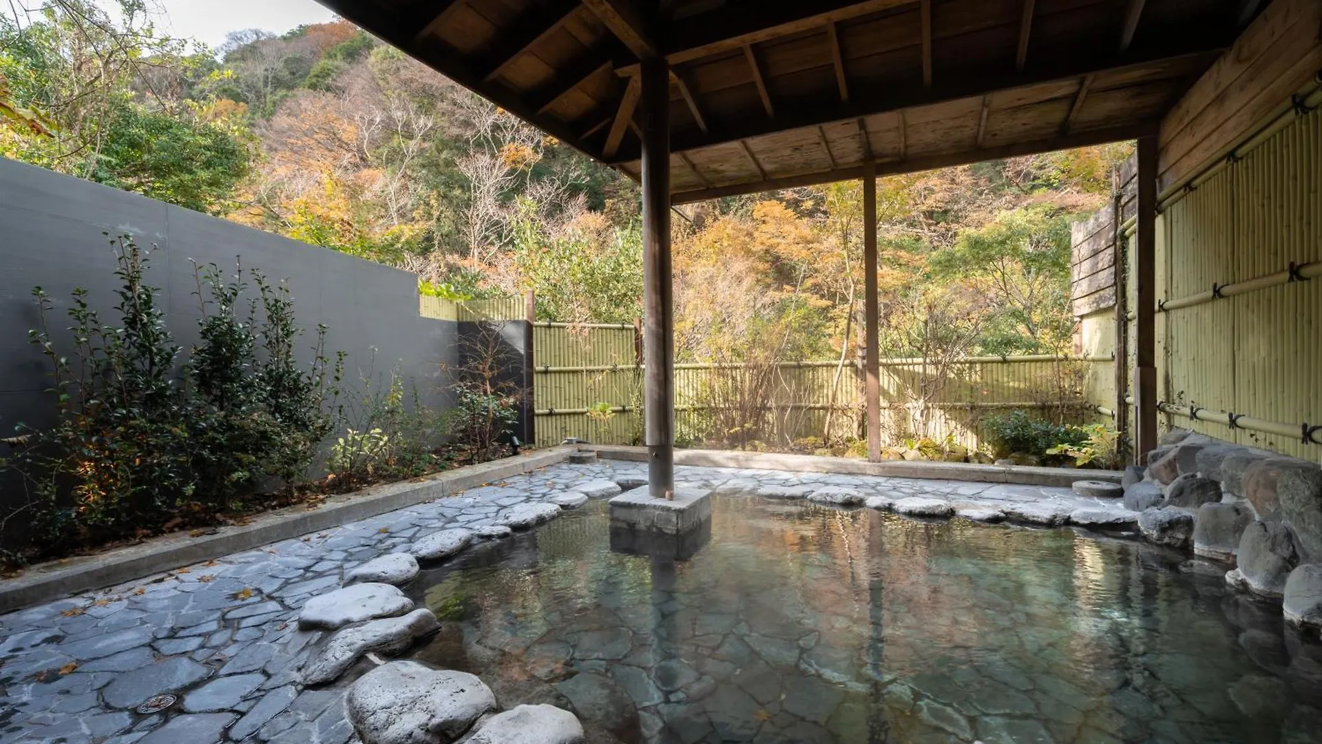 Onsen Guest House Tsutaya 하코네 일본